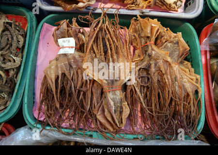 Getrocknete Tiere wie Calarmari stehen zum Verkauf in der traditionellen chinesischen Medizin (TCM) in Singapur, Singapur, 31. März 2007 verwendet werden. Foto: Peter Kneffel Stockfoto