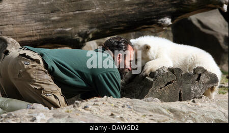 Thomas Doerflein spielt mit Polar Bear Cub Knut im Berliner Zoo, Berlin, 19. April 2007. Der Zoo hat eine seltsame Morddrohung gegen Knut erhalten und hat daher die Sicherheitsmaßnahmen erhöht. 15 Männer und Frauen ein privates Sicherheitsunternehmen sind im Einsatz für die Sicherheit der Eisbär. Foto: Klaus-Dietmar Gabbert Stockfoto