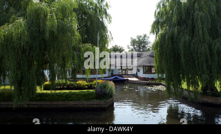 Strohgedeckten am Flussufer Haus durch den Fluß Bure, Wroxham, Norfolk Broads, GB. Stockfoto