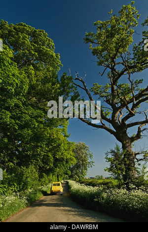 Ein gelbes Auto Fahrt entlang einer Landstraße in der Nähe von Toddington in den Cotswolds Stockfoto