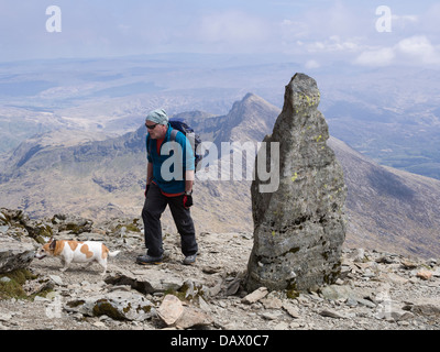 Wanderer mit Hund von Stein Marker an Spitze der Watkin Pfad auf Snowdon Südgrat mit Y Lliwedd jenseits in Snowdonia Wales UK Stockfoto