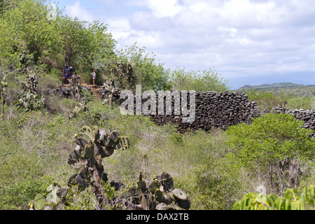 Wall Of Tears, Muro de Las Lagrimas, Isabela Island, Galapagos-Inseln, Ecuador Stockfoto