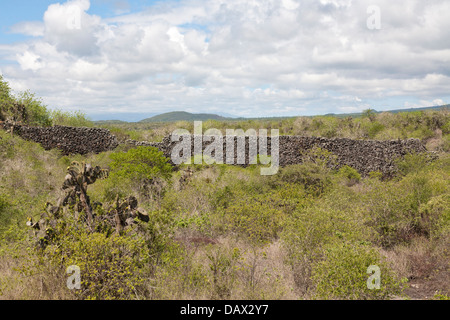 Wall Of Tears, Muro de Las Lagrimas, Isabela Island, Galapagos-Inseln, Ecuador Stockfoto