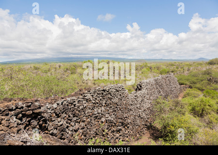 Wall Of Tears, Muro de Las Lagrimas, Isabela Island, Galapagos-Inseln, Ecuador Stockfoto