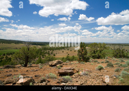 Malerische Aussicht entlang der Owyhee Hochland Backcountry Byway im Owyhee County, Idaho, USA. Stockfoto