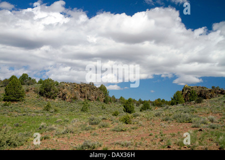 Malerische Aussicht entlang der Owyhee Hochland Backcountry Byway im Owyhee County, Idaho, USA. Stockfoto