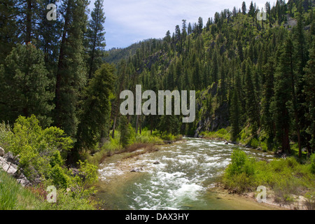 South Fork des Boise River in der Nähe von Featherville, Idaho, USA. Stockfoto