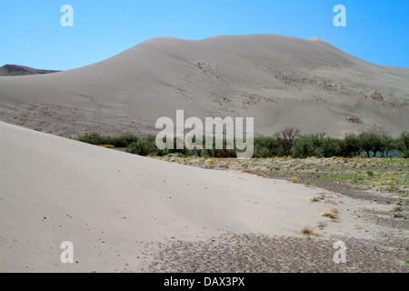 Bruneau Dunes State Park in der Nähe von Bruneau, Idaho, USA. Stockfoto