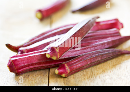 Okra, auch bekannt als die Biskotten oder Gumbo Stockfoto