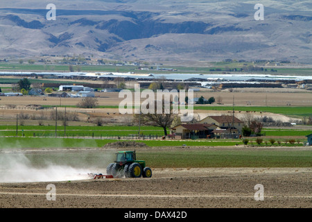 Traktor für Frühjahr Bodenbearbeitung im Canyon County, Idaho, USA Stockfoto