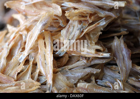 Getrockneten Tintenfisch ist eine lokale Lebensmittel in Thailand. Stockfoto