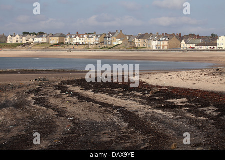 Gezeiten Sie Markierungen am Strand von Newbiggin-by-the-Sea in Northumberland, England. Stockfoto