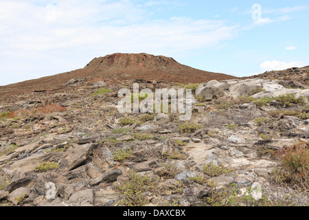 Chinesen Hut Insel, Galapagos-Inseln, Ecuador Stockfoto