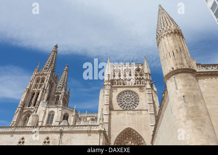 Südlichen Querschiff der Kathedrale von Burgos aus Plaza del Rey San Fernando - Burgos, Burgos Provence, Kastilien und León, Spanien Stockfoto