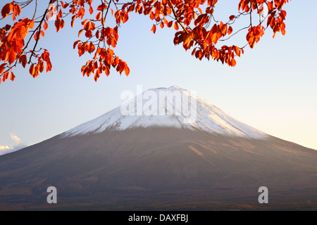 Mt. Fuji mit Herbstfarben in Japan. Stockfoto