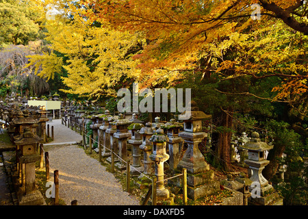 Herbstfarben im Kasuga-Taisha Schrein in Nara Stockfoto