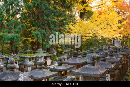 Herbstfarben im Kasuga-Taisha Schrein in Nara Stockfoto