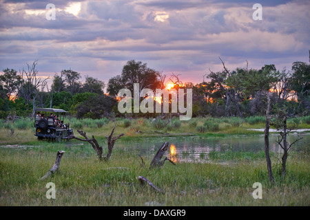 Safari-Auto während des Sonnenuntergangs in Chitabe, Okavango Delta, Botswana, Afrika Stockfoto