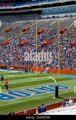 UF Gators 2013 jährlich Frühjahr Orange und blau Fußball Spiel in Ben Hill Griffin Stadium Florida Feld Alias den Sumpf. Stockfoto