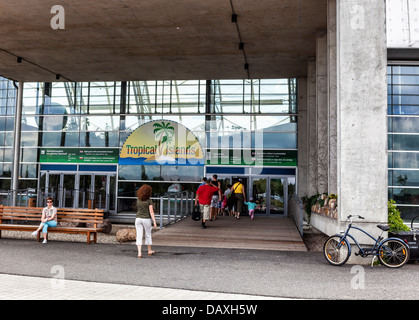 Menschen geben Sie das Tropical Islands Resort - ein Theme Park in eine Luftschiffhalle - Krausnick, Deutschland Stockfoto