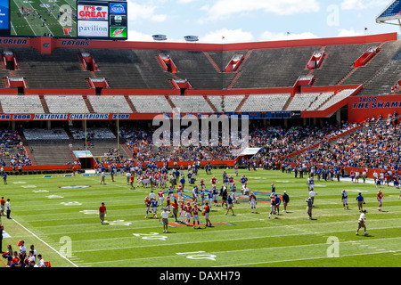 UF Gators 2013 jährlich Frühjahr Orange und blau Fußball Spiel in Ben Hill Griffin Stadium Florida Feld Alias den Sumpf. Stockfoto