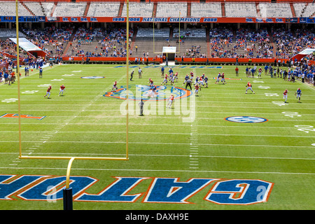 UF Gators 2013 jährlich Frühjahr Orange und blau Fußball Spiel in Ben Hill Griffin Stadium Florida Feld Alias den Sumpf. Stockfoto