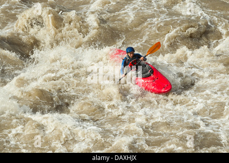 Ein Kajak in einem knallroten Kajak manövriert durch schlammige Wildwasserstromschnellen. Die Person trägt einen blauen Helm, eine blau-schwarze Schutzjacke und paddelt aktiv mit einem Stockfoto