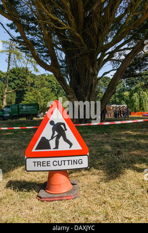 Anmelden Achtung Leute, Baum schneiden im Gange ist und nicht ein Weg aufgenommene Bereich zu betreten Stockfoto