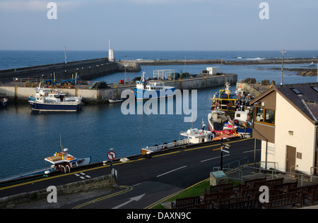 gemeinsame touristische Hafen und Fischerboote Hafen Master Büro northumberland Stockfoto