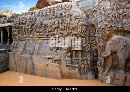 Steinschnitzereien auf dem Gesicht von einem Felsen auf Arjunas Buße, Mahabalipuram, Kanchipuram Bezirk, Tamil Nadu, Indien Stockfoto