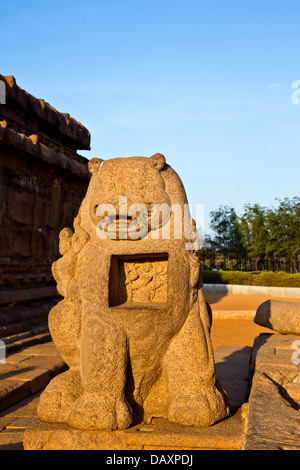 Skulptur eines Löwen in einem Tempel, Shore Tempel, Mahabalipuram, Kanchipuram Bezirk, Tamil Nadu, Indien Stockfoto