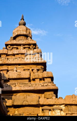 Carving-Details eines Tempels Shore Tempel, Mahabalipuram, Kanchipuram Bezirk, Tamil Nadu, Indien Stockfoto