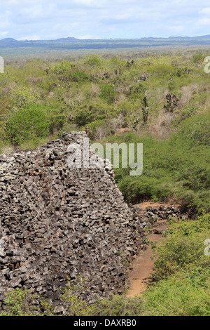 Wall Of Tears, Muro de Las Lagrimas, Isabela Island, Galapagos-Inseln, Ecuador Stockfoto