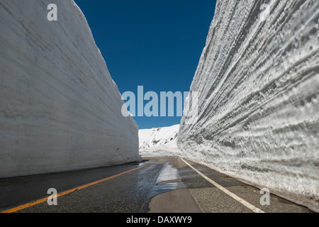 Schnee-Korridor nahe dem Gipfel bei Murodo auf die Tateyama Kurobe Alpine Route, Japan Stockfoto