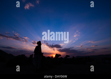 Silhouette eines Mannes mit Kamelen bei Sonnenuntergang, Pushkar, Ajmer, Rajasthan, Indien Stockfoto