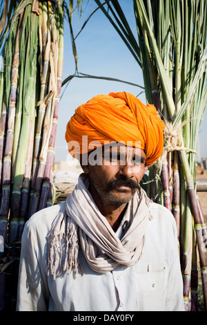 Landwirt verkaufen Sugar Canes in Pushkar Camel Fair, Pushkar, Ajmer, Rajasthan, Indien Stockfoto