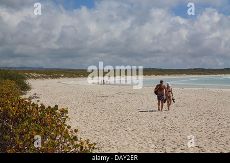 Tortuga Bay, Santa Cruz Island, Galapagos-Inseln, Ecuador Stockfoto