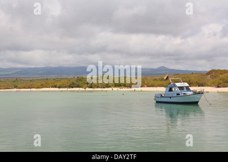 Tortuga Bay, Santa Cruz Island, Galapagos-Inseln, Ecuador Stockfoto