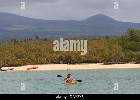 Tortuga Bay, Santa Cruz Island, Galapagos-Inseln, Ecuador Stockfoto