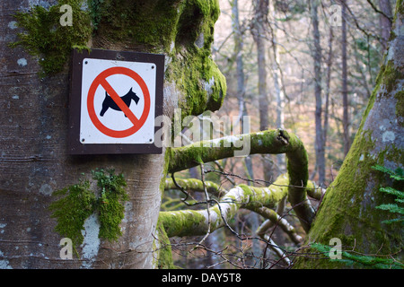 Eine "Hunde" in einem Wald in der Nähe von Cawdor, Nairnshire Sign. Stockfoto