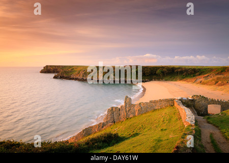 Barafundle Bay Pembroke Pembrokeshire Wales im Morgengrauen Stockfoto