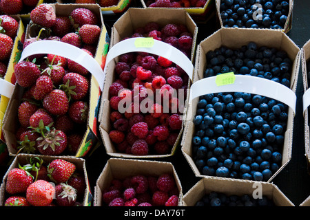 Frische lokale Erdbeeren, Himbeeren und Heidelbeeren auf Jean Talon Market in Little Italy. Montreal, Quebec, Kanada. Stockfoto