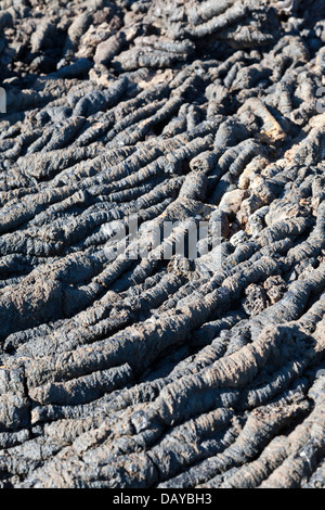 Pahoehoe Lava, Punta Moreno, Isabela Island, Galapagos-Inseln, Ecuador Stockfoto