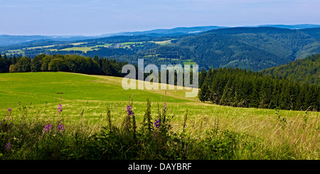 Blick vom Simmerberg zum Thüringer Wald in der Nähe von Steinbach, Schnett, Teil von Masserberg, Thüringen, Deutschland Stockfoto