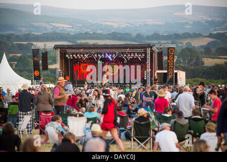 Oakhampton, UK. 20. Juli 2013. Billy Bragg führt bei Chagstock, einem kleinen Musikfestival in der Nähe von Okehampton, Devon. Die ausverkaufte Veranstaltung sah Festivalbesucher genießen die warme, sonnige Wetter, das vor kurzem sonnte sich das Vereinigte Königreich hat. Das Met Office hat die Hitzewelle Warnstufe herabgestuft, aber Temperaturen werden voraussichtlich in der nächsten Woche wieder steigen. 20. Juli 2013 Kredit: Adam Gasson/Alamy Live-Nachrichten Stockfoto