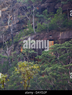 Eukalyptus und andere Buschland Bäume wachsen auf einem steilen Sandstein-Steilhang in Dharug National Park, NSW, Australien Stockfoto