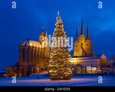 Domplatz mit Weihnachtsbaum, Str. Marys Kathedrale und St. Severus Kirche, Erfurt, Thüringen, Deutschland Stockfoto