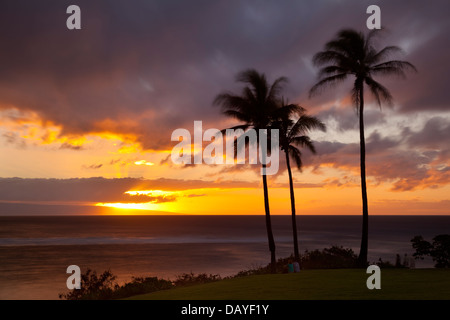 Napili Punkt mit Kokosnuss-Palmen bei Sonnenuntergang in Maui, Hawaii. Stockfoto