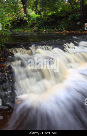 Joaveski Wasserfall in Nord-Estland, Lahemaa Nationalpark Stockfoto