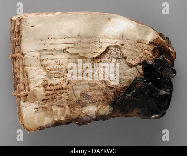 Dieser Satz von vier Fragmenten aus islamischen Büchern stellt ein wichtiges Beispiel für islamische Kalligraphie und Buchbinderei dar. Diese Stücke sind Teil der LACMA-Sammlung islamischer Artefakte. Stockfoto